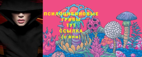 ALPHA PVP Верея