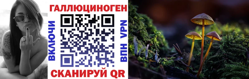 kraken рабочий сайт  Тюмень  Галлюциногенные грибы прущие грибы 